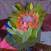 Entyatyambeni - Botanical collages by Keiskamma Art Project