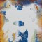 The Effect, an Exhibition by Ghia Human