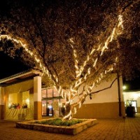 Allesverloren-Function-and-Conference-Venue