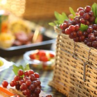 Nederburg-harvest-day
